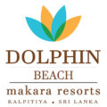 Dolphin Beach